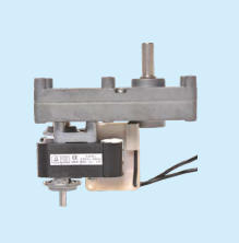 GEAR MOTOR